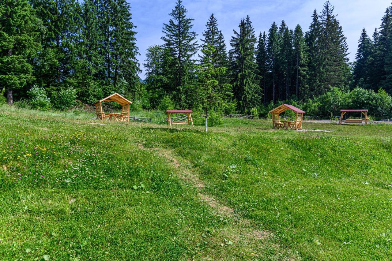 Pine Woods Studio D113 In Silver Mountain Пояна Брашов Екстериор снимка